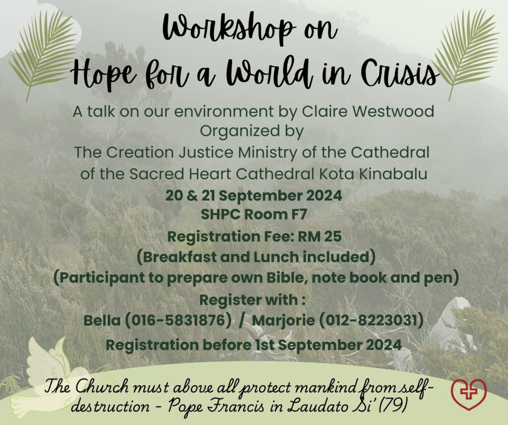 WORKSHOP ON HOPE FOR A WORLD IN CRISIS